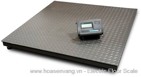 Cân sàn điện tử 1 - China Floor scale